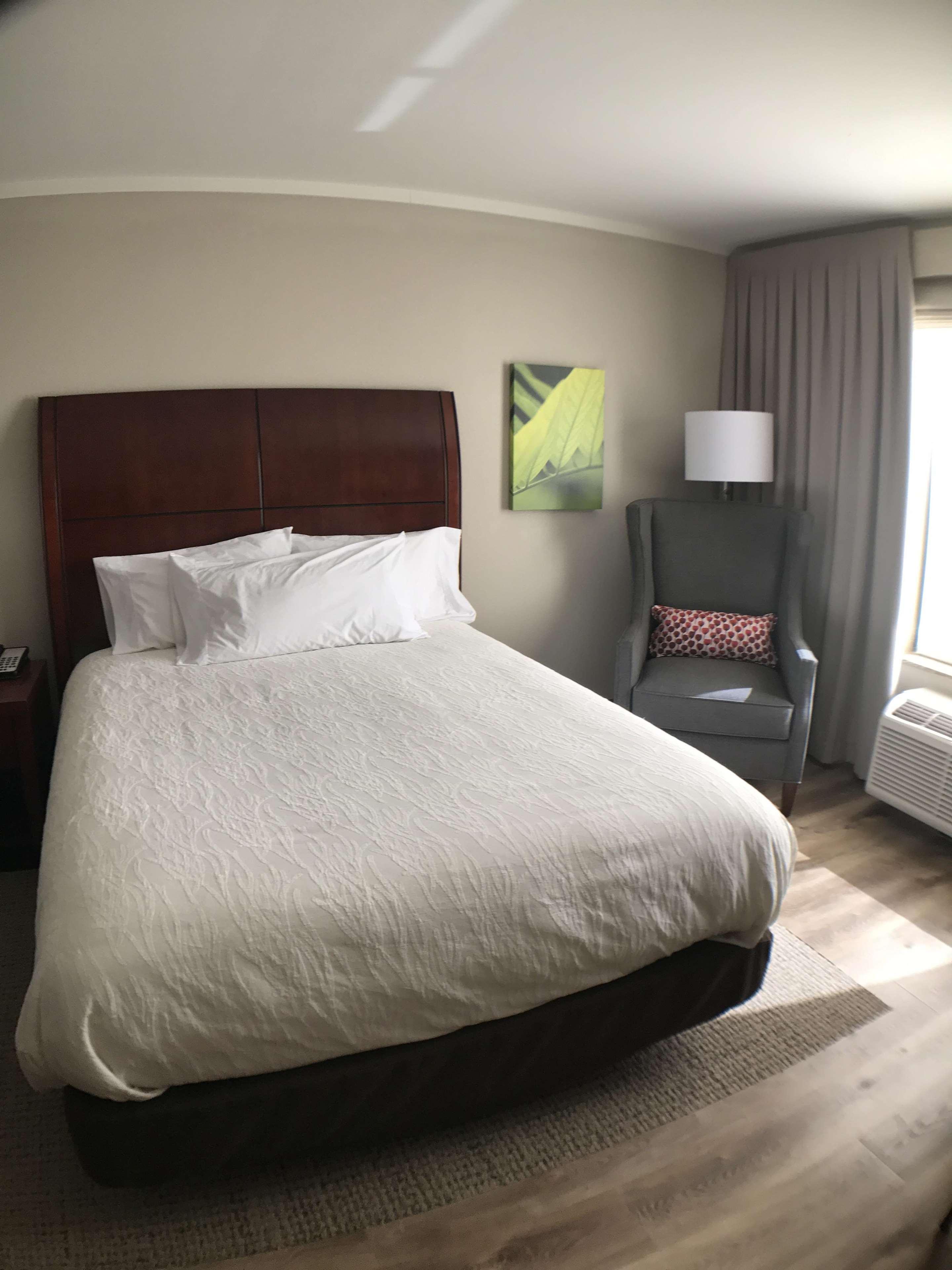 Hilton Garden Inn Bowling Green Bagian luar foto
